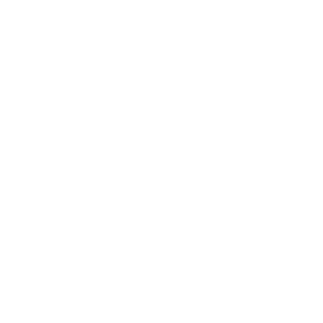 XL Groupe